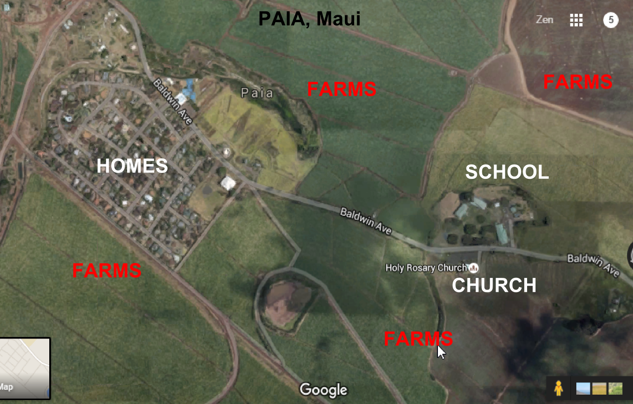 Baldwin_Ave_in_Paia_Maui.png