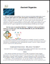 AncientOrganics6Pager.jpg