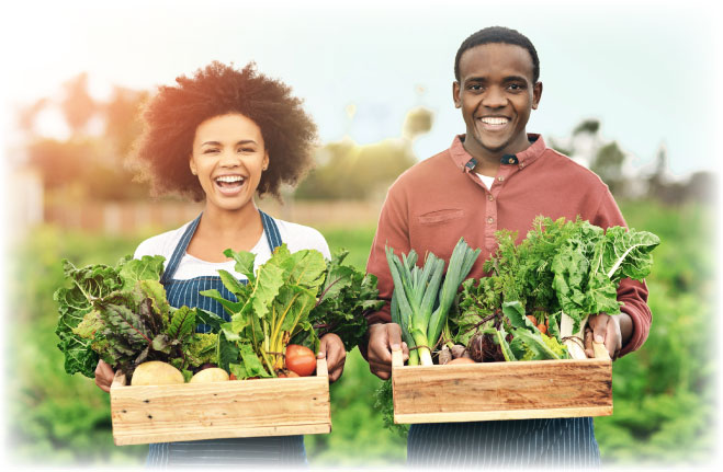 we-grow-our-own-vegetables-2025-04-06-08-07-33-utc.jpg