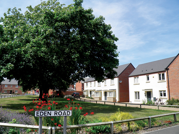 The Forefield example