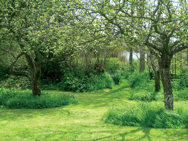 Old Norton Orchard example